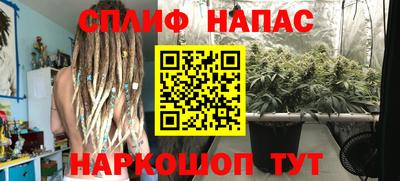 гашик Малгобек