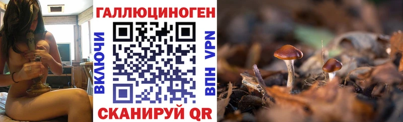 Галлюциногенные грибы мицелий  купить наркотики цена  ОМГ ОМГ ССЫЛКА  Валуйки 