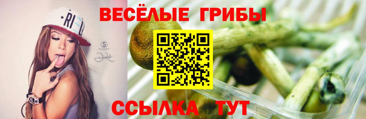 Валуйки  Галлюциногенные грибы прущие грибы  Псилоцибиновые грибы ЛСД  Вход с VPN 